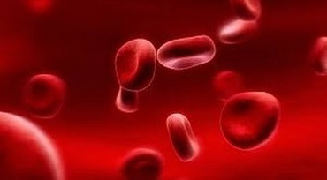 Groupe sanguin : Modification de la réglementation